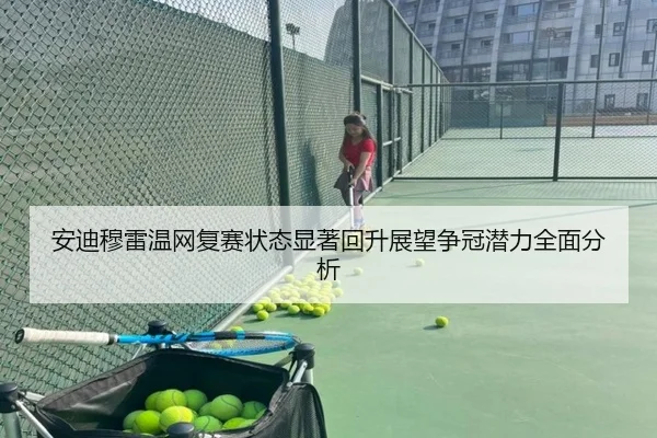 安迪穆雷温网复赛状态显著回升展望争冠潜力全面分析 - BOYE SPORTS
